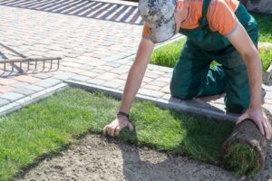 Best sod installation companies in Ottawa comparison