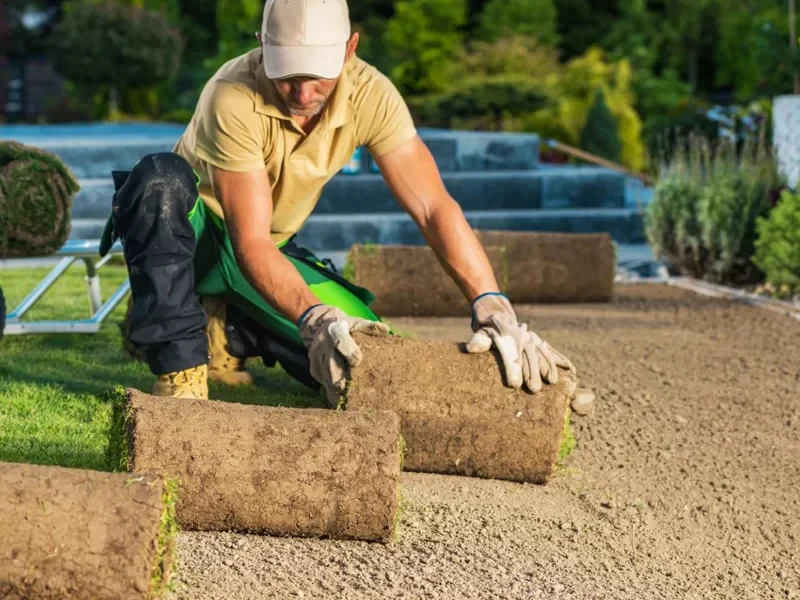 Our team providing expert sod installation Edmonton services for a residential backyard.