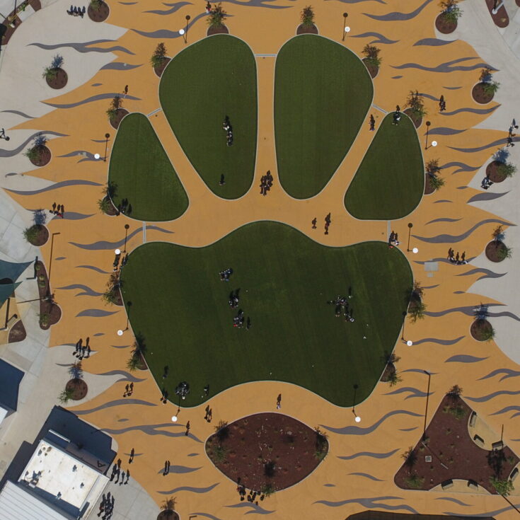 Pet Turf vs. Natural Grass