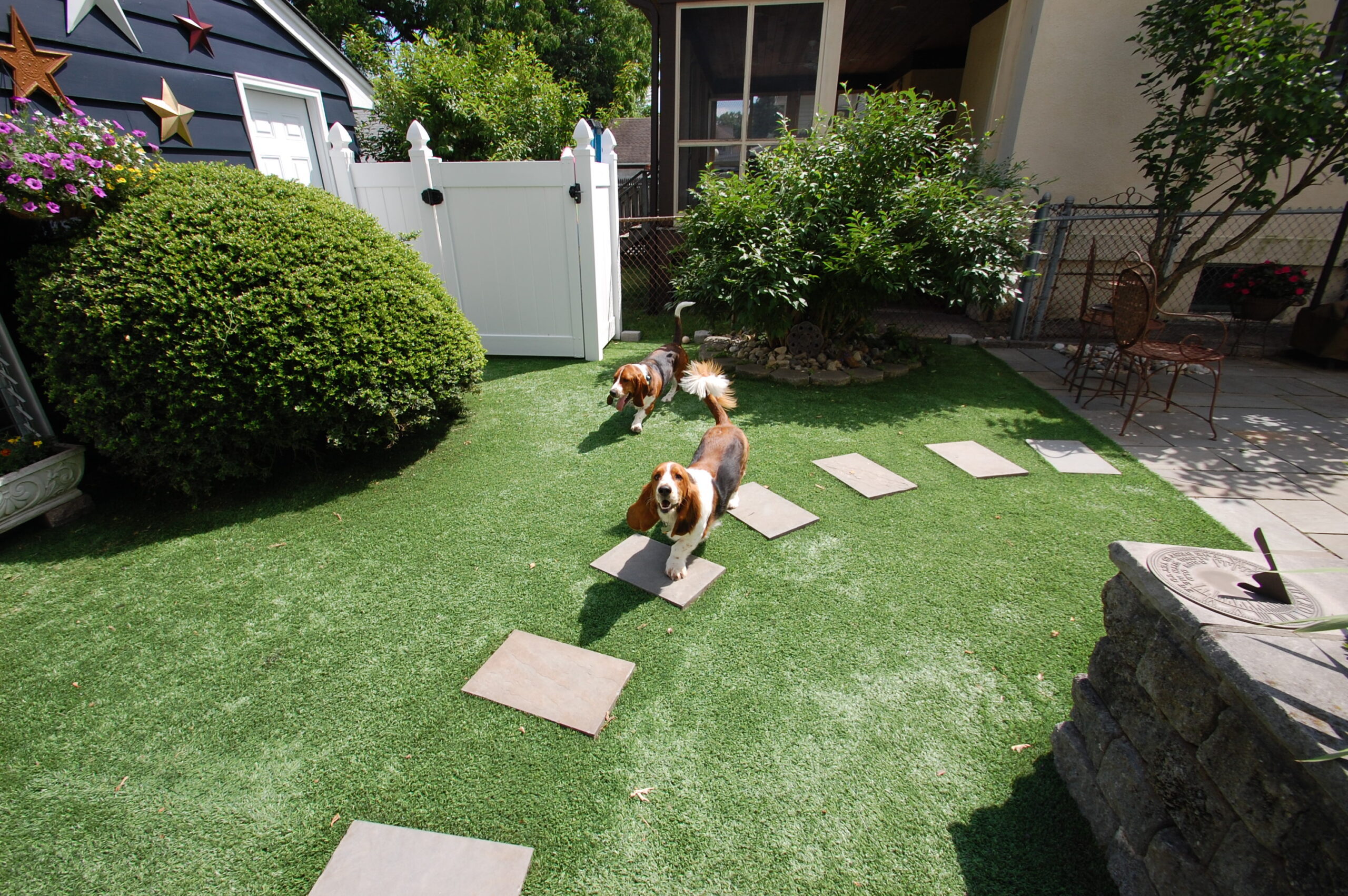 Protecting Your Pets