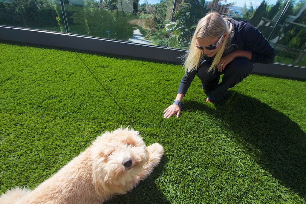 Pet Turf Installation Ottawa