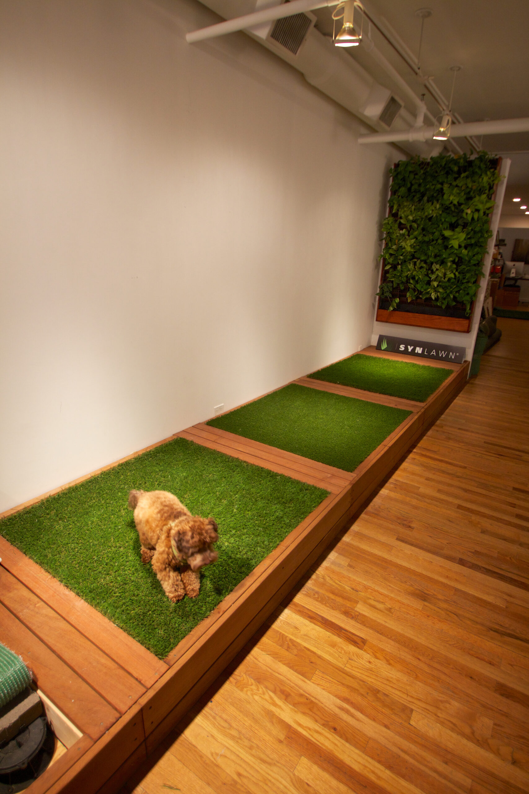 How Pet Turf Handles Urine & Drainage