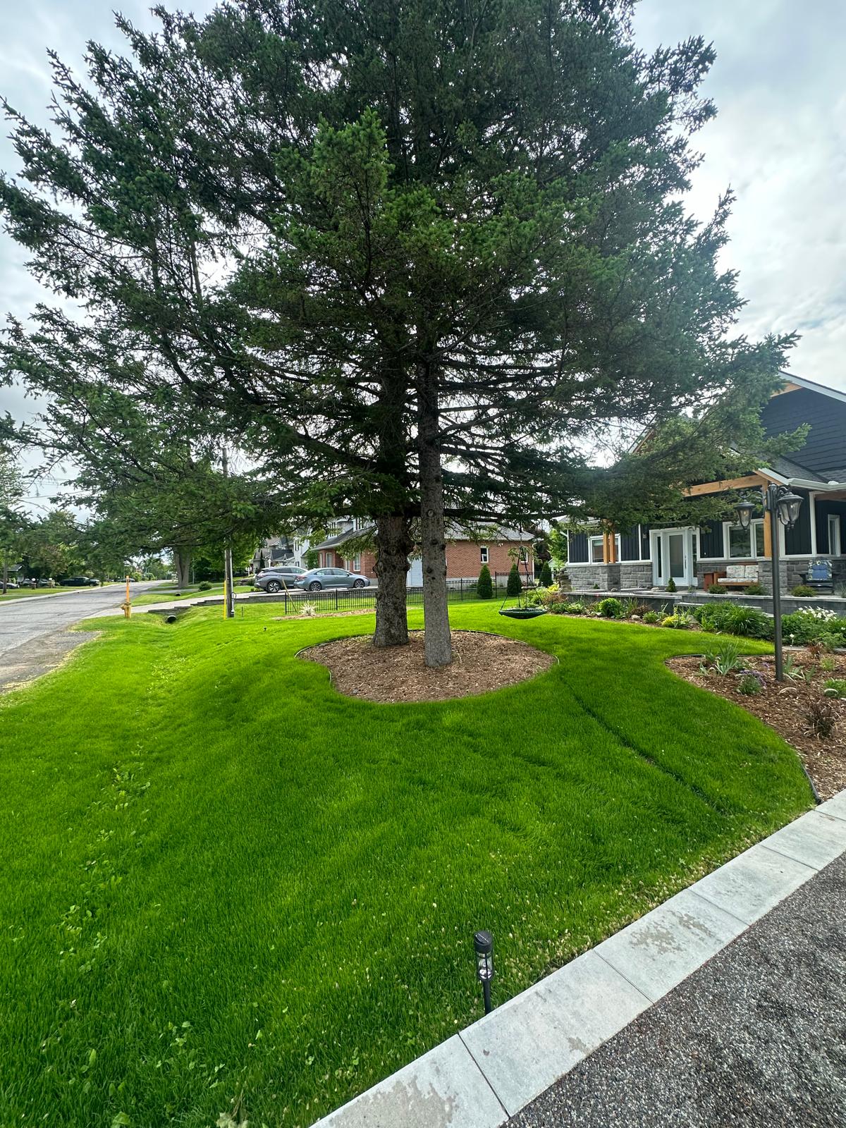 Fresh Ottawa Sod Installation