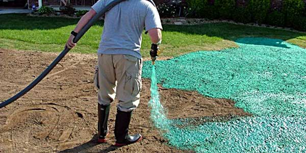 Hydroseeding vs Sod Installation