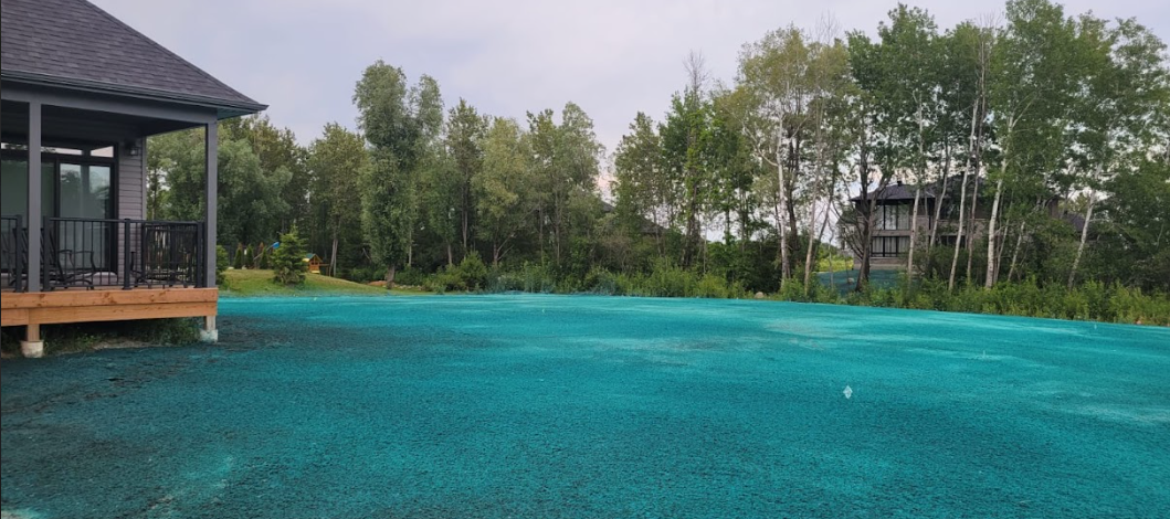 Which Option Is Better for Ottawa