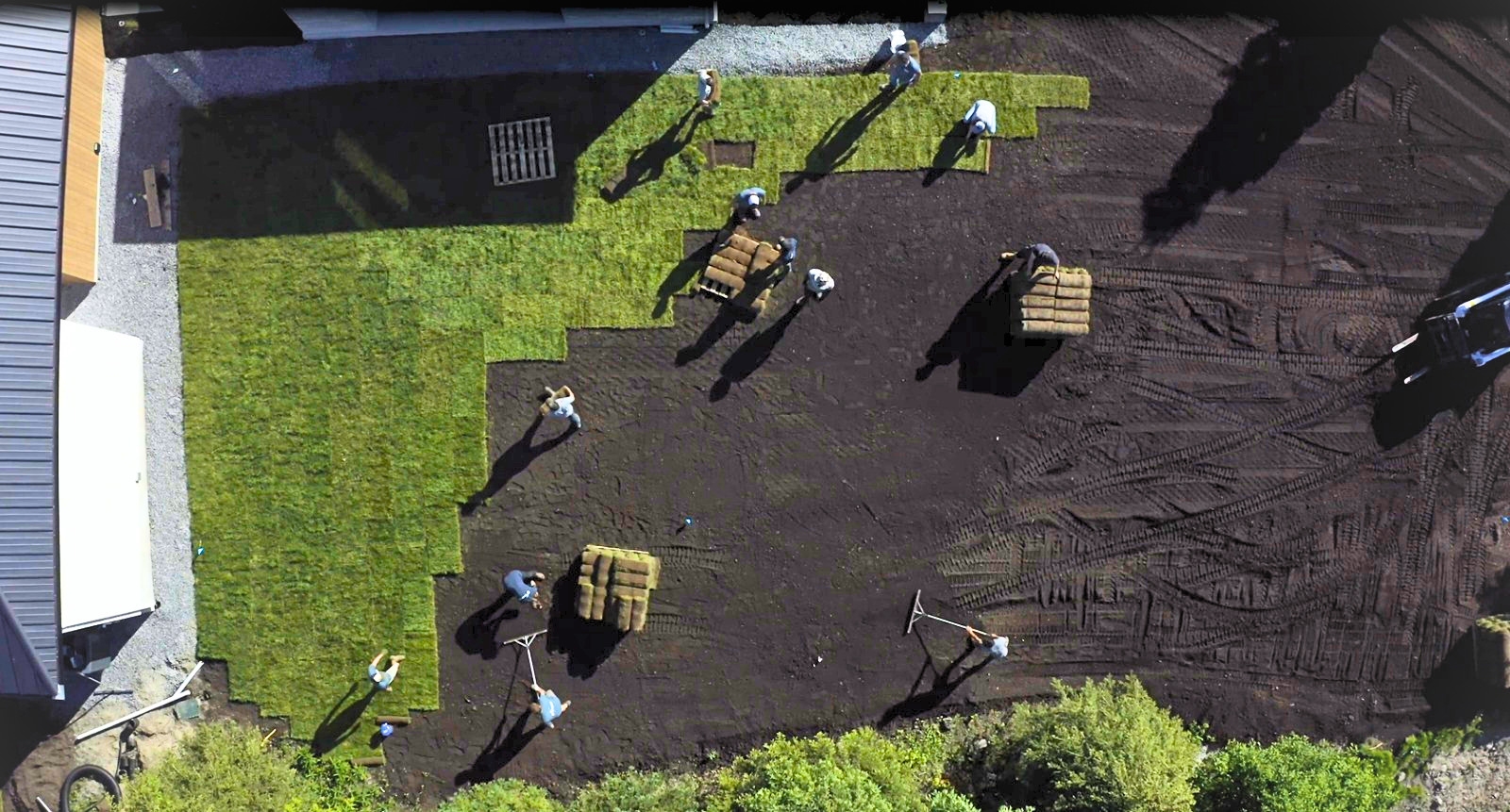 resodding-instantlawns