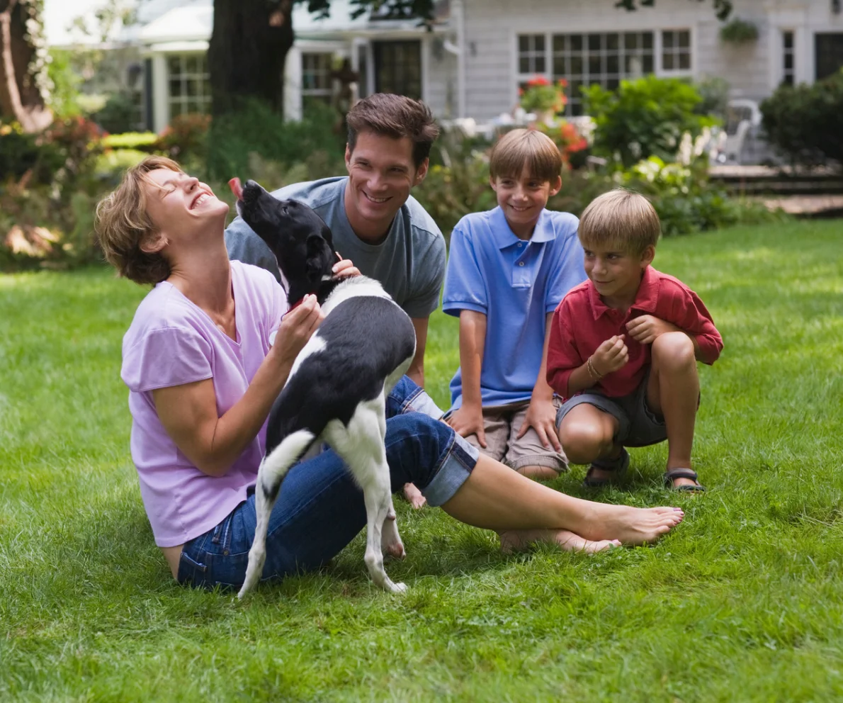 Family playing on healthy lawn