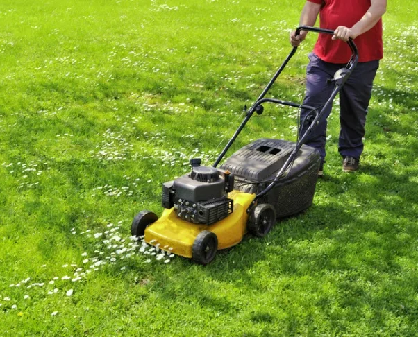 Lawn Mowing