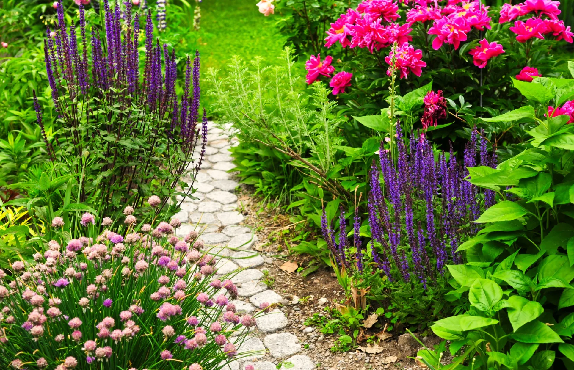 Types of Gardening Services